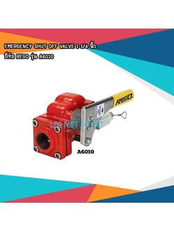 REGO Emergency Shut-Off Valve รุ่น A6010
