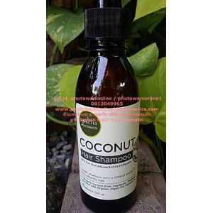 แชมพูสมุนไพร แชมพูมะพร้าว แชมพูมะกรูด แชมพูขิง