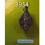 พระครูธรรมรัตนคุณ วัดโพธาราม ราชบุรี หลังพระวันจันทร์