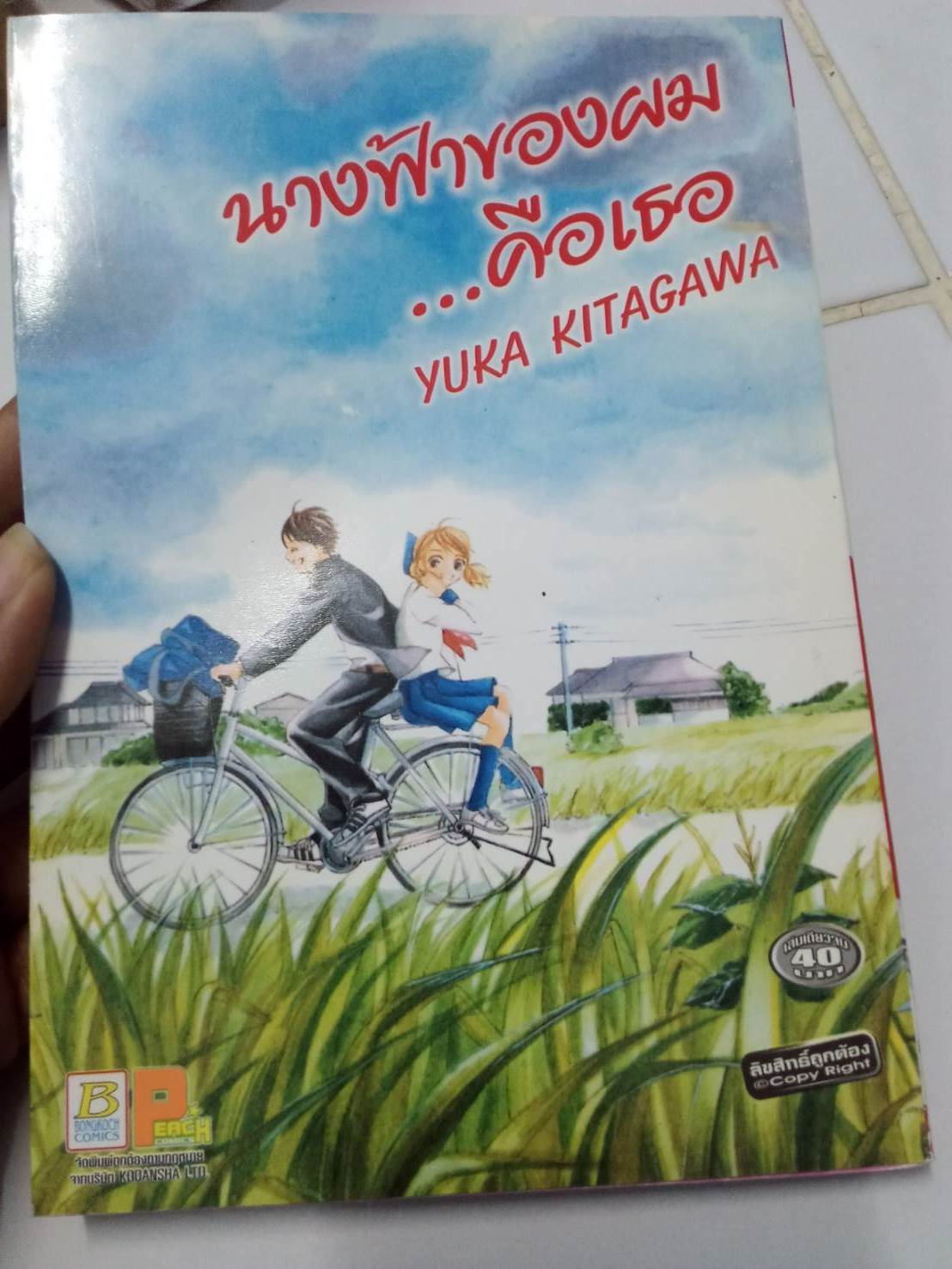 นางฟ้าของผมคือเธอ เล่มเดียวจบ