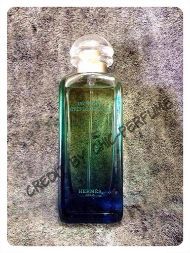 น้ำหอม Hermes Un Jardin Apres La Mousson EDT 100 ml.