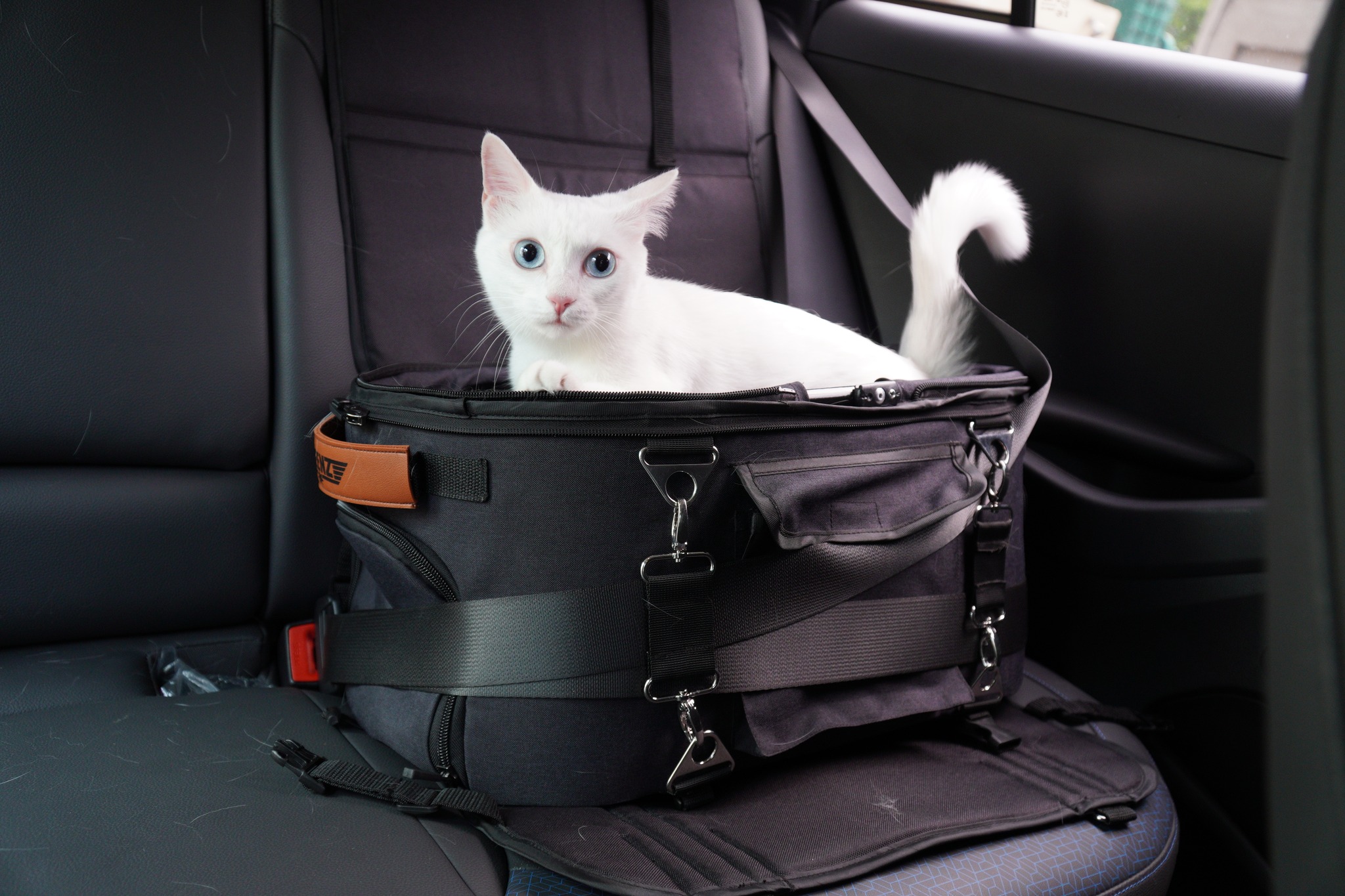 KEENZ รุ่น AIRPETS รถเข็นสัตว์เลี้ยง 3in1 กระเป๋าใส่สัตว์เลี้ยง (พันธุ์เล็ก)