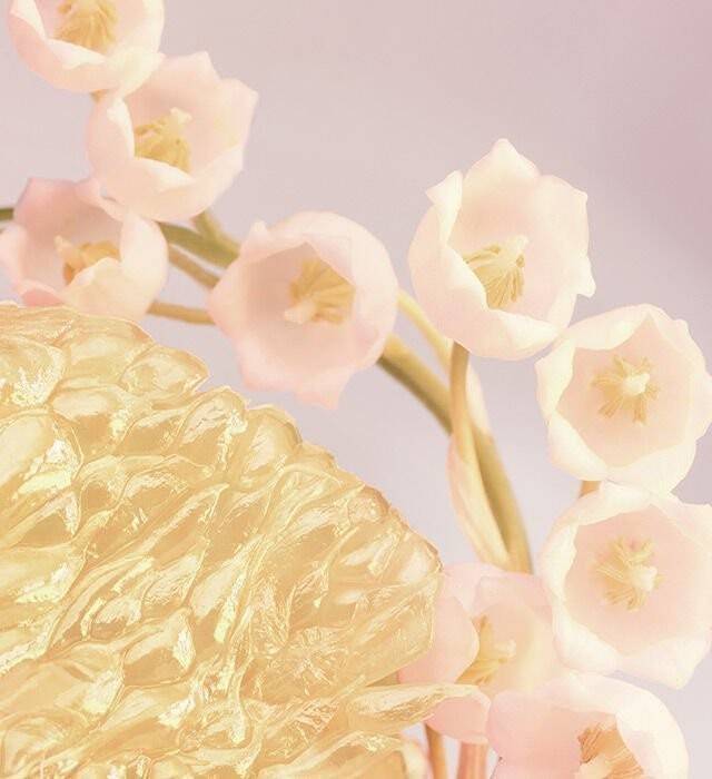 น้ำหอม BVLGARI Rose Goldea Blossom Delight EDT 75 ml