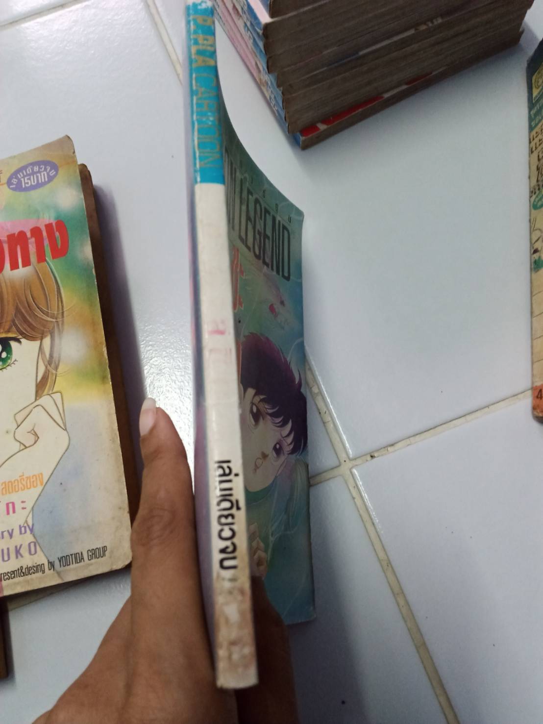 เจ้าหญิงกุหลาบน้ำแข็ง เล่มเดียวจบ