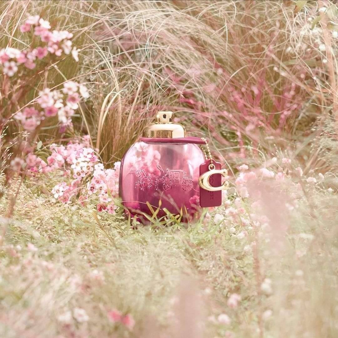 น้ำหอม Coach Wild Rose EDP 90ml.