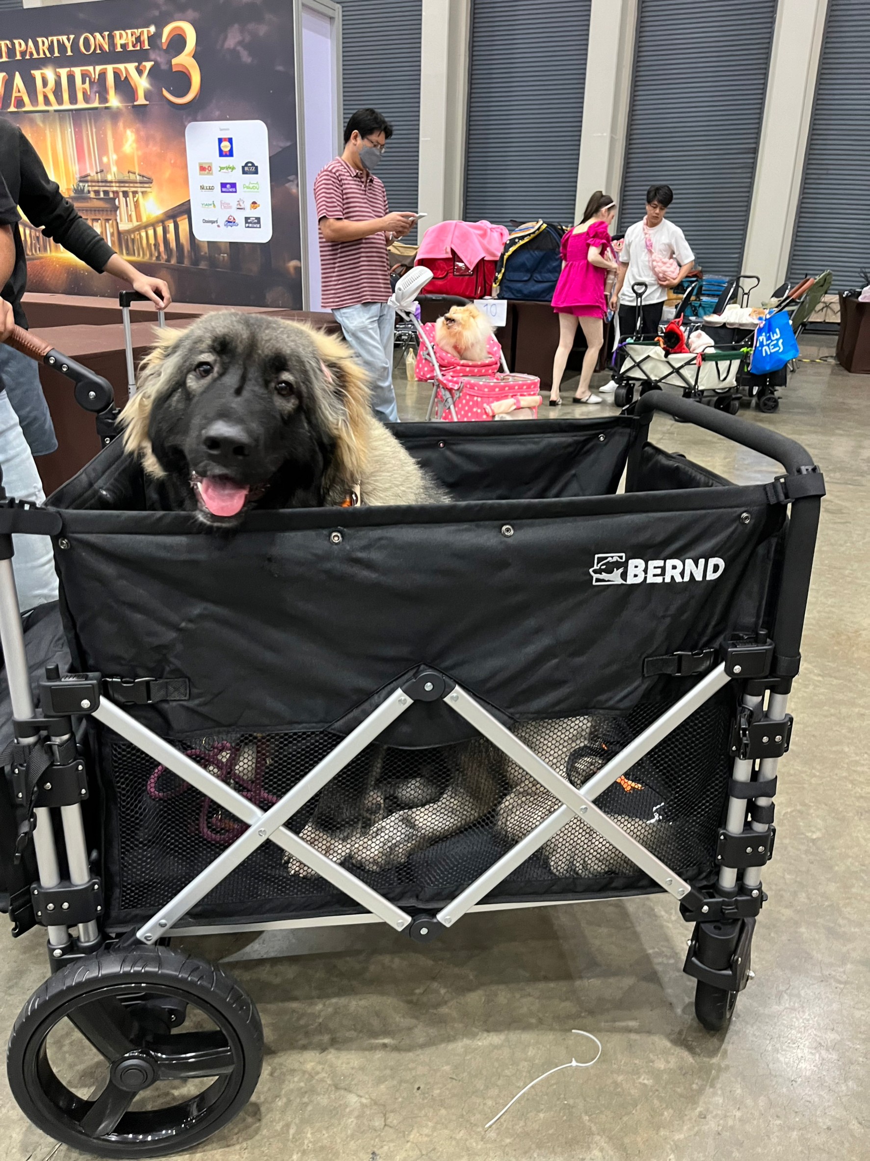 BERND รุ่น Bloom Pet รถเข็นสำหรับสัตว์เลี้ยง รับน้ำหนักได้สูงสุด 100kg.