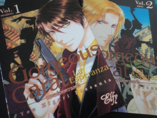 พระแม่แห่งความหวัง เล่ม 1-2 จบ