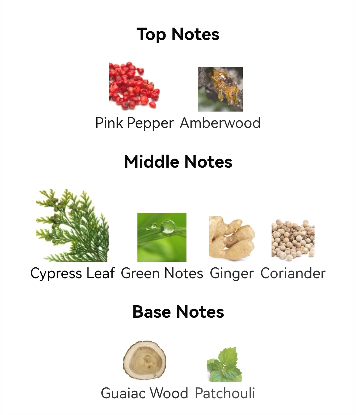 น้ำหอม Bottega Veneta Parco Palladiano II EDP 100ml.