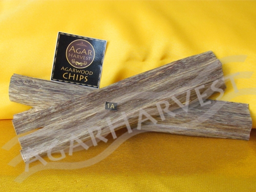 AgarHarvest ไม้หอม อโรม่า ไม้หอมมงคล ปรับอากาศ ไม้กฤษณา แท้ (ขนาดใหญ่) Agarwood Chips (Standard Grade 1A หอมธรรมชาติ) 250 กรัม