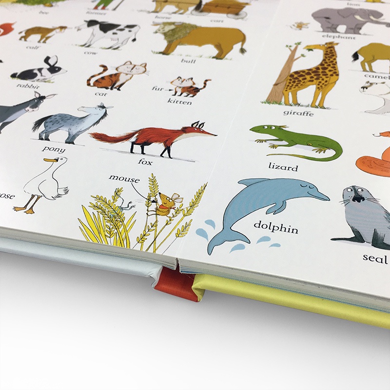 Usborne Big Book of English Words หนังสือคำศัพท์ภาษาอังกฤษ สำหรับเด็ก