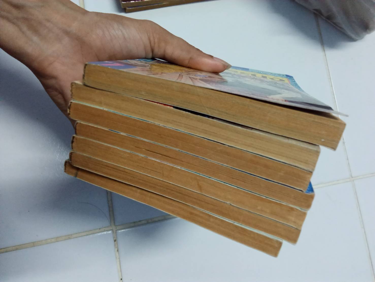 รักทระนง เล่ม 1-7 จบ