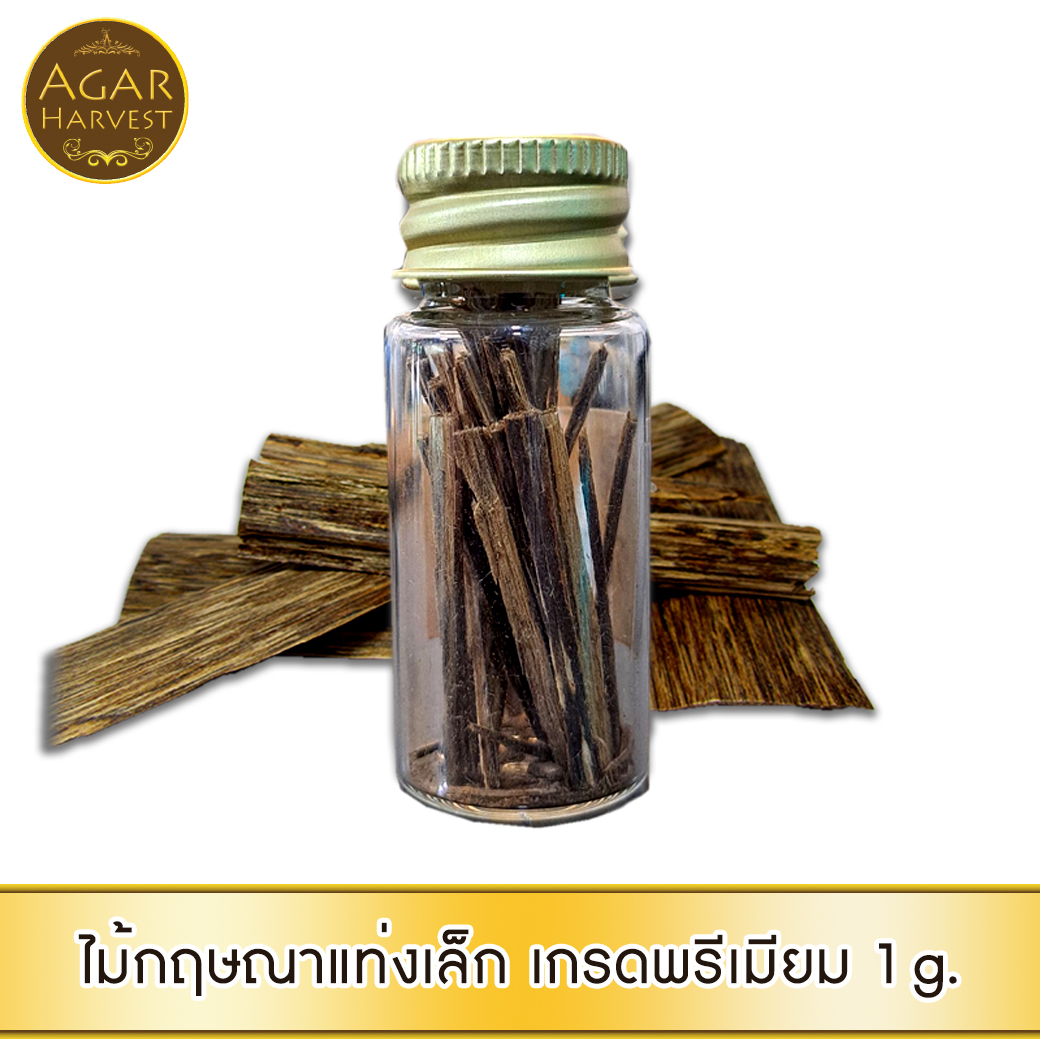 AgarHarvest ไม้ตอกบุหรี่ ไม้กฤษณาแท่งเล็ก แบบพิเศษ ไม้หอม อโรม่า ลดสารพิษ ลดความอ้วน ชลอชรา Agarwood Pick / Cigarette Stick (Premium)