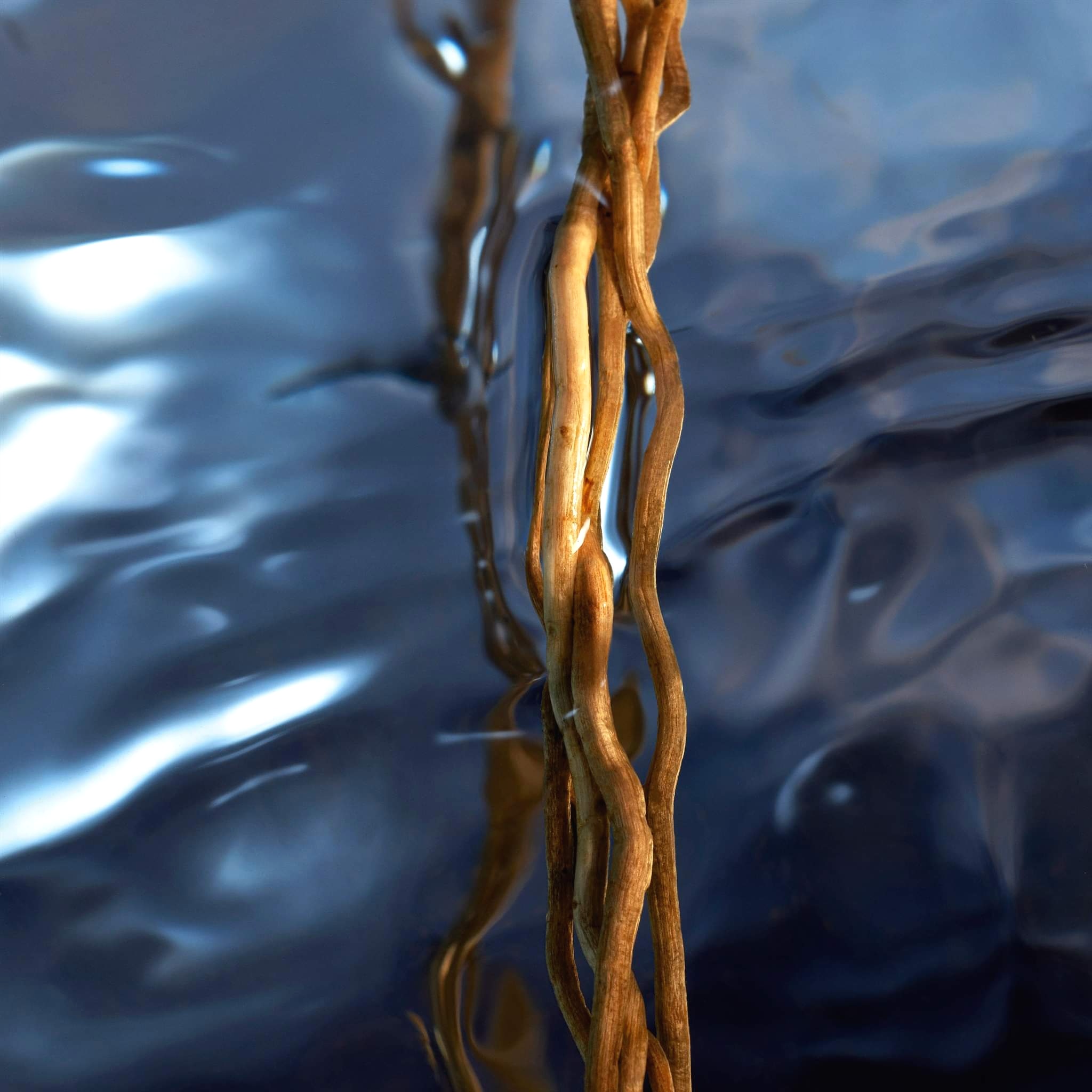 น้ำหอม Davidoff Cool Water REBORN for Men EDT 125ml