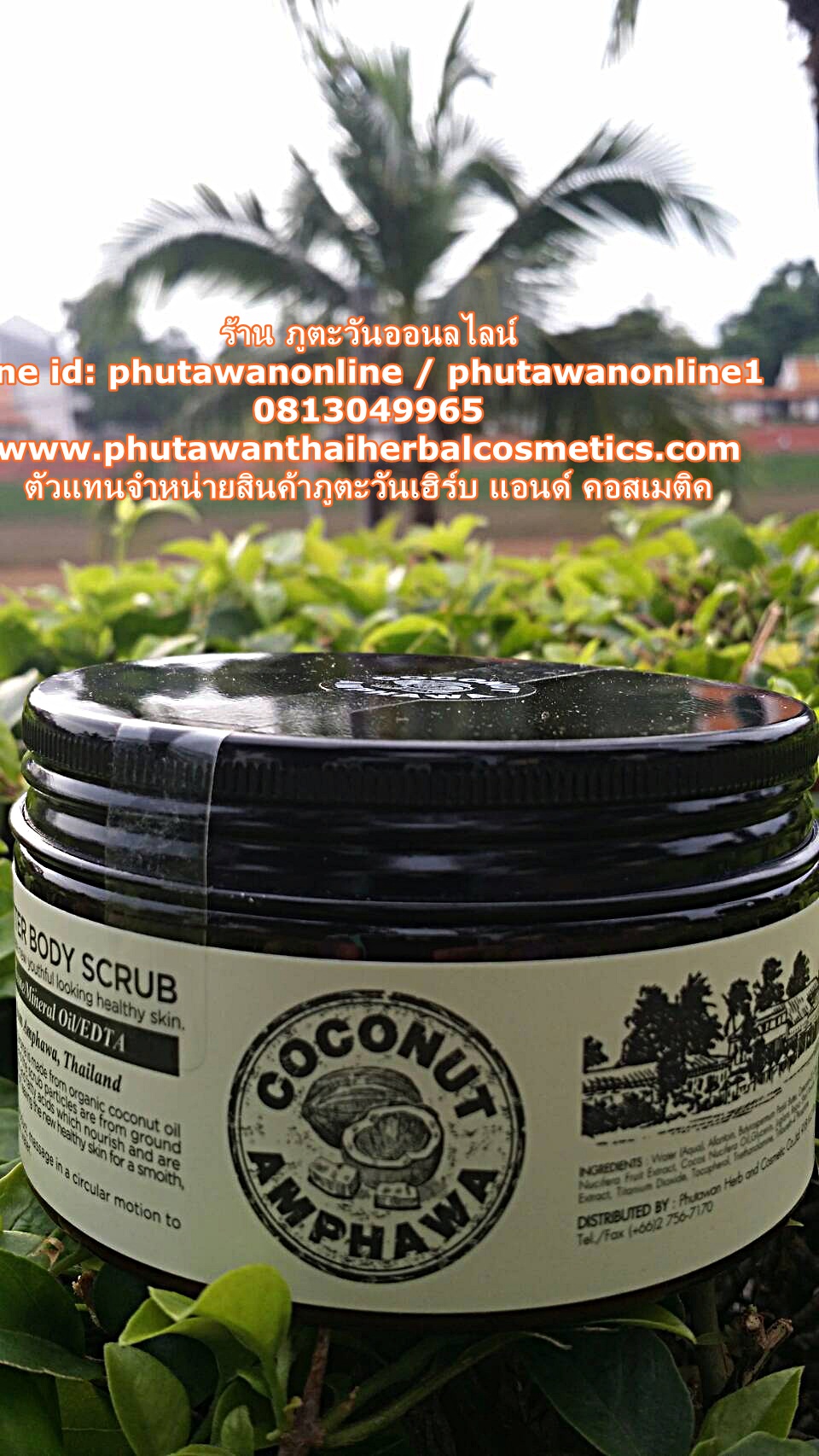 Coconut Butter Body Scrub สครับขัดผิวมะพร้าว ร้าน ภูตะวันออนไลน์