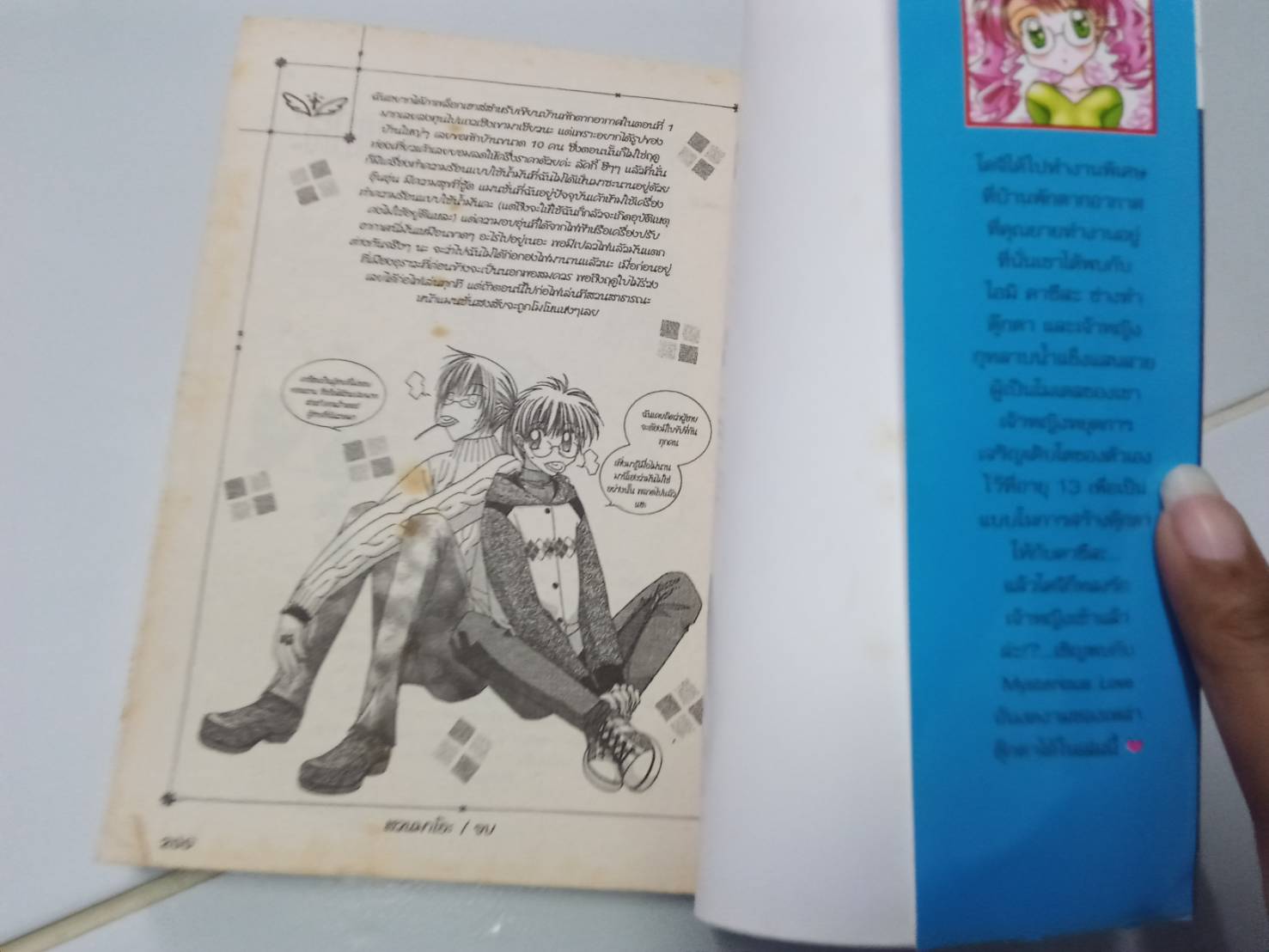 เจ้าหญิงกุหลาบน้ำแข็ง เล่มเดียวจบ