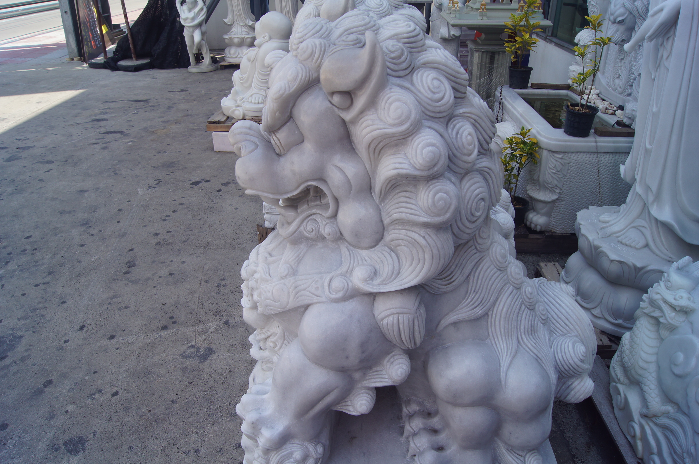 สิงโตปักกิ่ง ขนาด สูง 90 เซนติเมตร ( 1 คู่ )