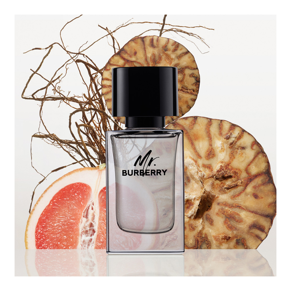 น้ำหอม Burberry Mr.Burberry EDT 100ml