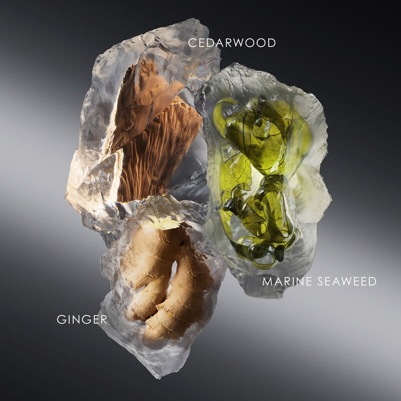 น้ำหอม Issey Miyake Le Sel d’Issey EDT