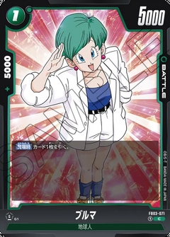 FB03-071 C ブルマ