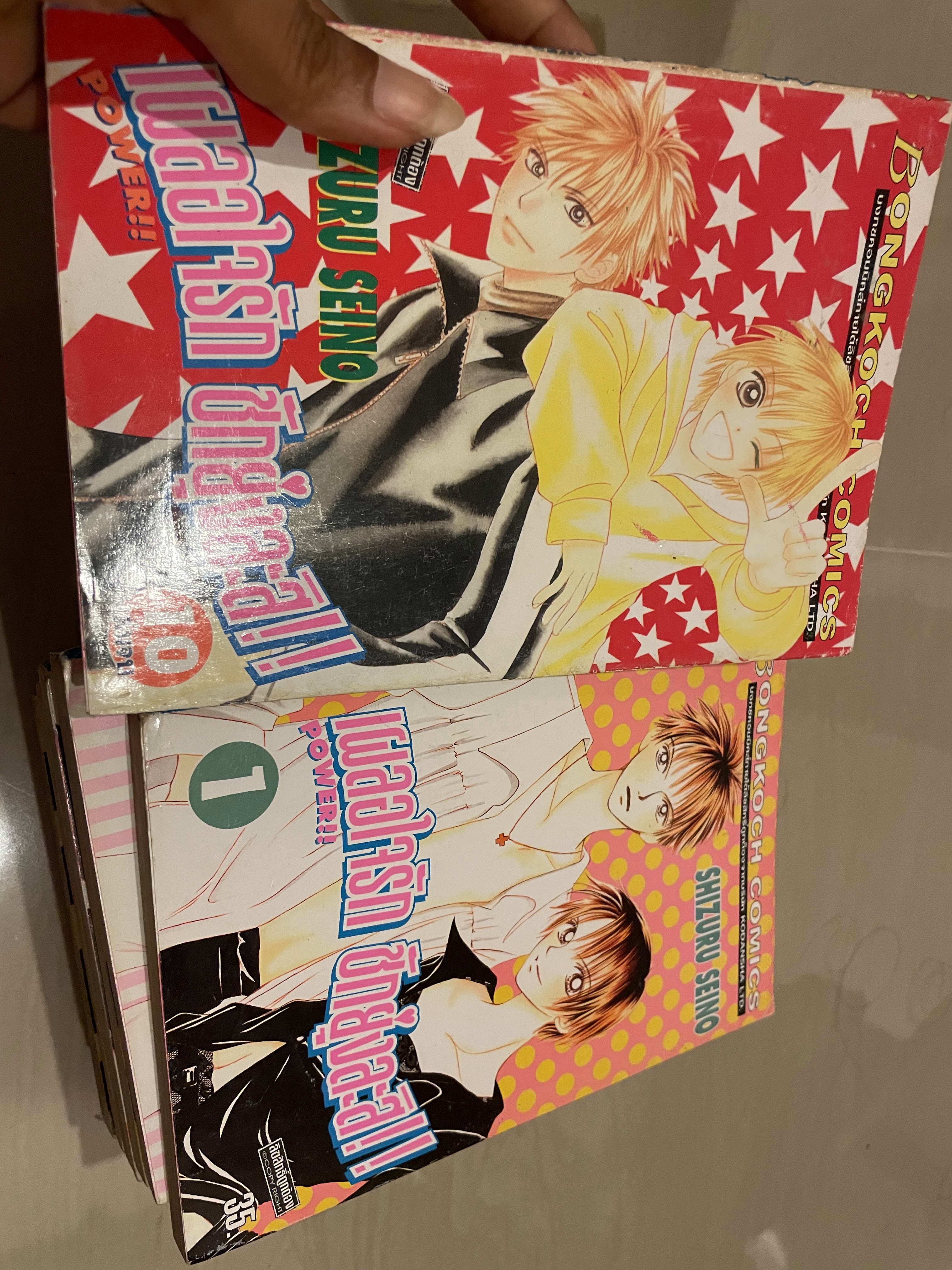 เผลอใจรัก ชักยุ่งละสิ เล่ม 1-10 จบ
