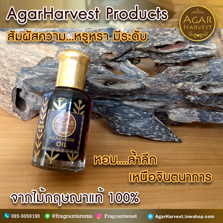 agarwood ไม้กฤษณา