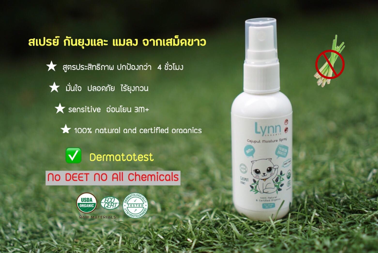 Lynn Cajuput Moisture Spray สเปรย์กันยุง มดและแมลงจากใบเสม็ดขาว