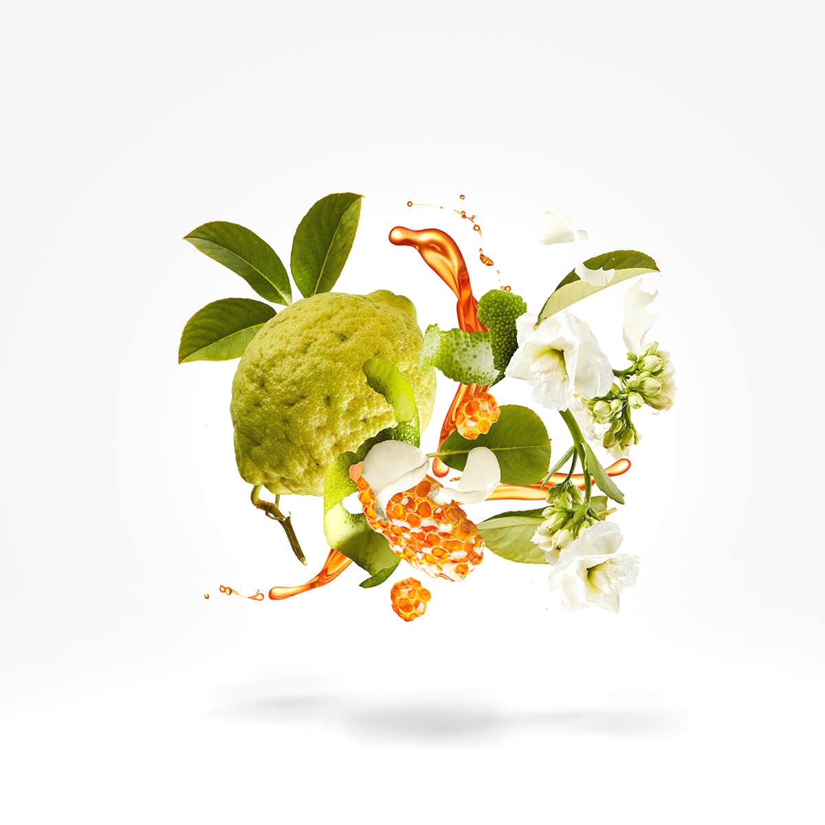 น้ำหอม Xerjoff Naxos EDP 100ml