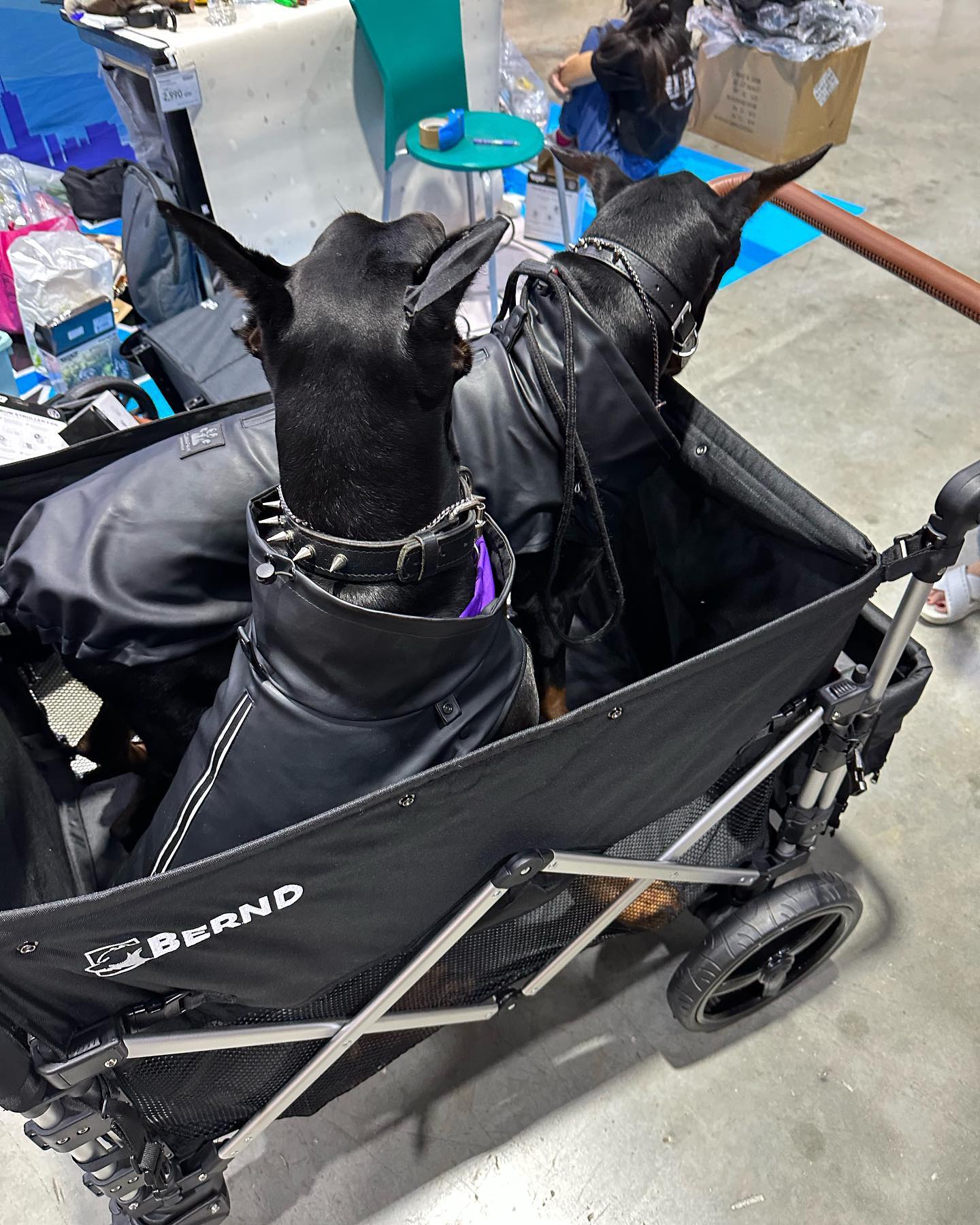 BERND รุ่น Bloom Pet รถเข็นสำหรับสัตว์เลี้ยง รับน้ำหนักได้สูงสุด 100kg.