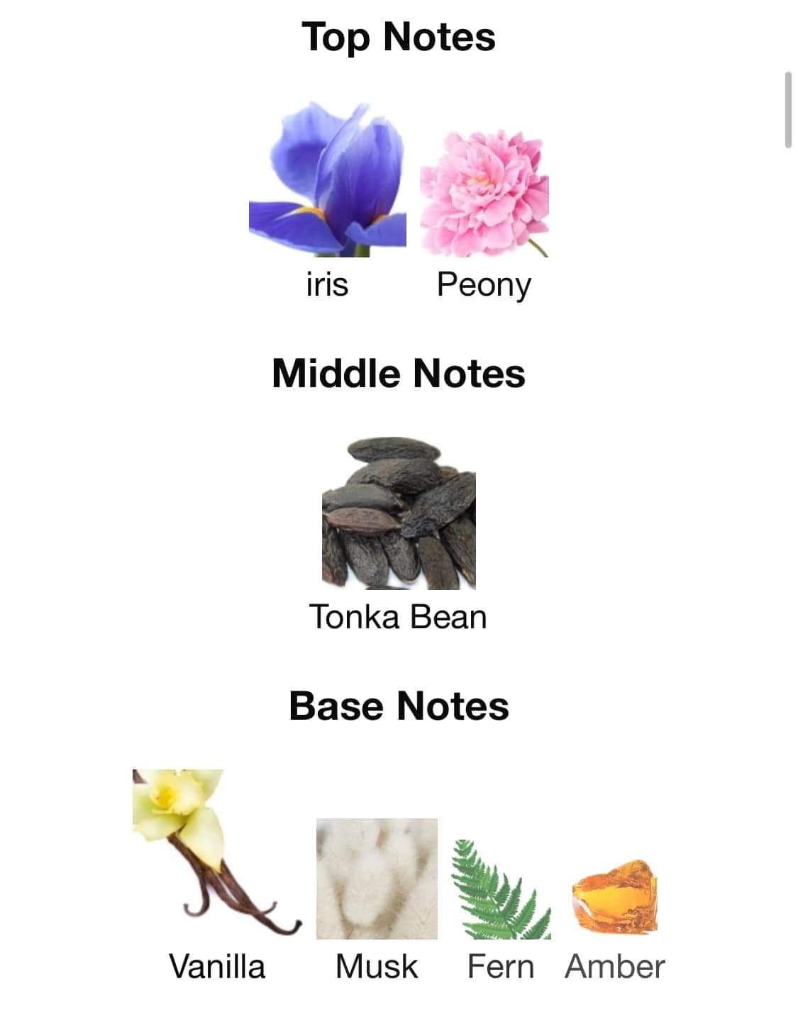 น้ำหอม Zadig & Voltaire Girls Can Say Anything EDP 90ml