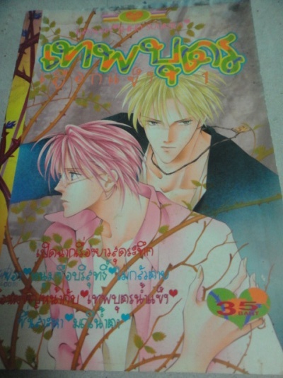 เทพบุตรเยือกแข็ง เล่ม 1