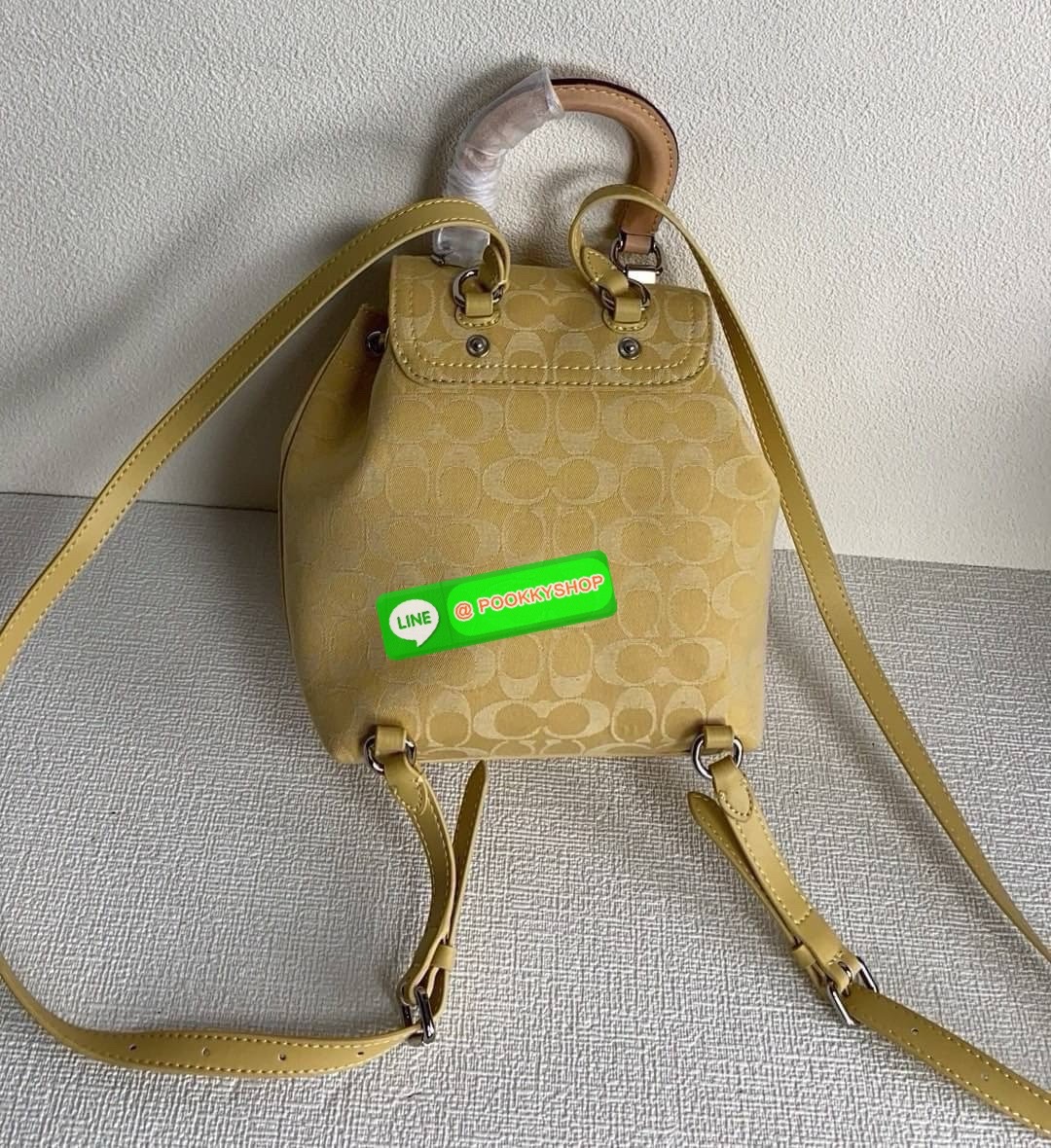 Coach CH789 Riya Backpack 21 Women Backpacks Shoulder Bag