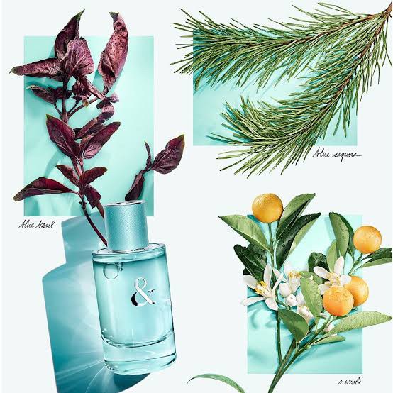 น้ำหอม Tiffany & Love for Him 90ml