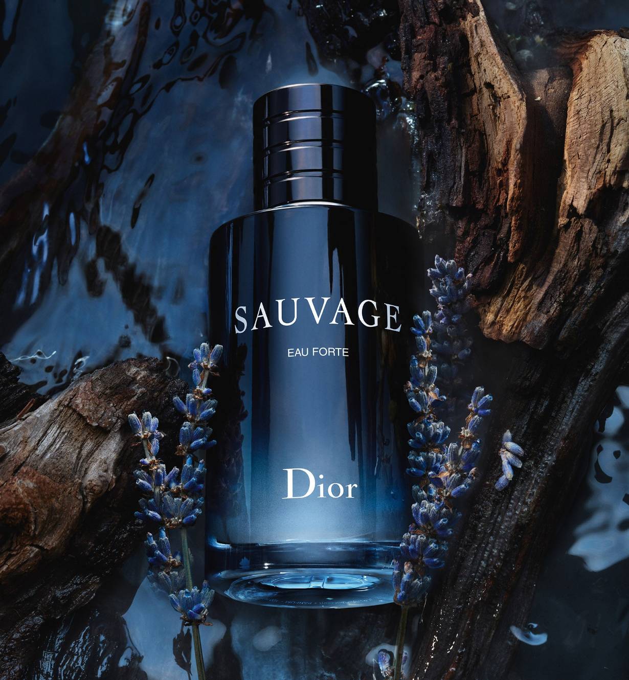น้ำหอม Dior Sauvage Eau Forte Parfum