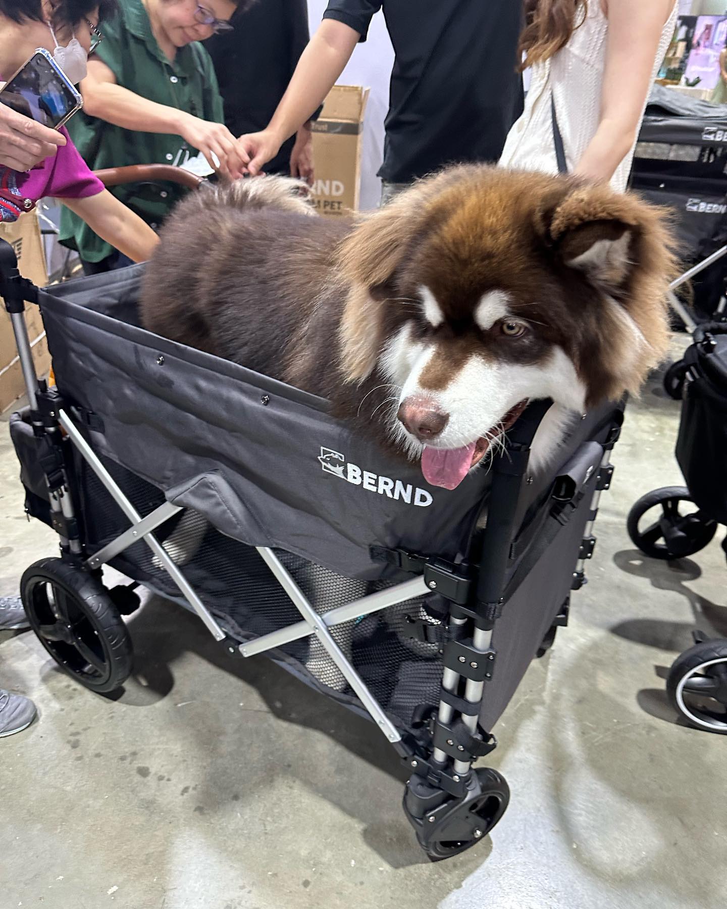 BERND รุ่น Bloom Pet รถเข็นสำหรับสัตว์เลี้ยง รับน้ำหนักได้สูงสุด 100kg.