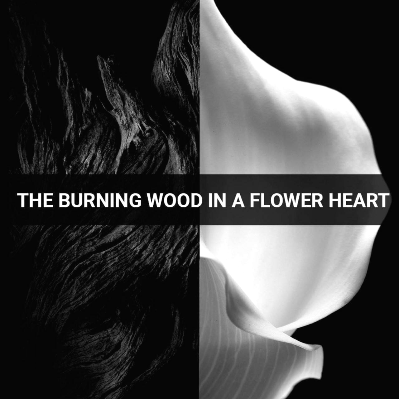 น้ำหอม Givenchy Gentleman EDP 100ml