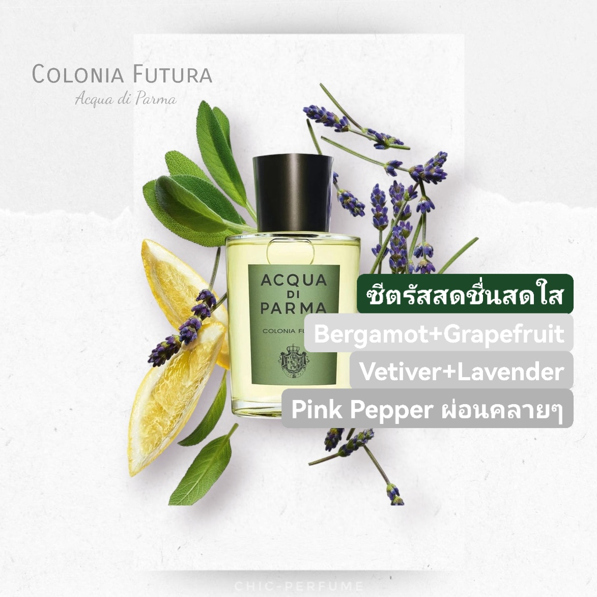 น้ำหอม ACQUA DI PARMA Colonia Futura 100ml