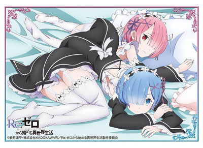 Bushiroad Sleeve Collection HG Vol.1142 - - Re:Zero Kara Hajimeru Isekai Seikatsu [Rem & Ram]