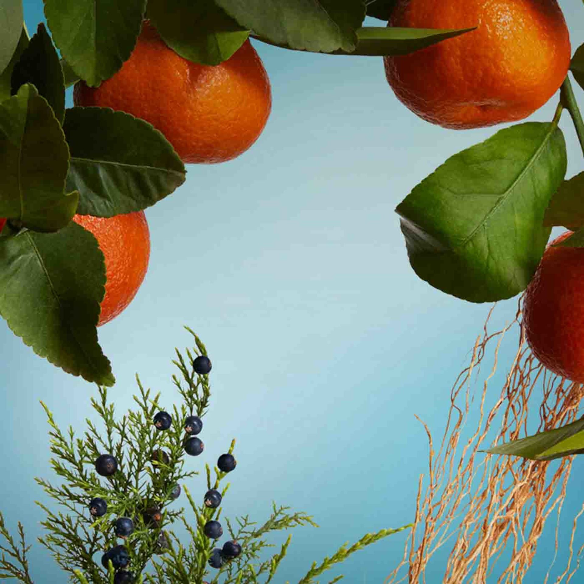 น้ำหอม Atelier Cologne Clementine California