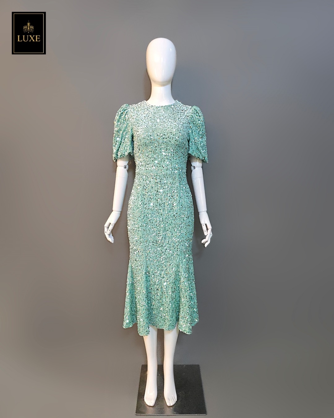 เดรสเสื้อคอกลม แขนสั้นปลายแขนพอง ชายกระโปรงบานเล็กน้อย