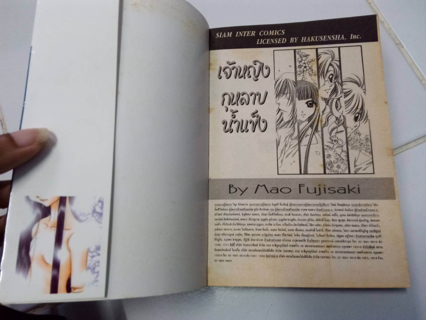 เจ้าหญิงกุหลาบน้ำแข็ง เล่มเดียวจบ