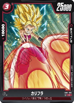 FB02-006 C カリフラ