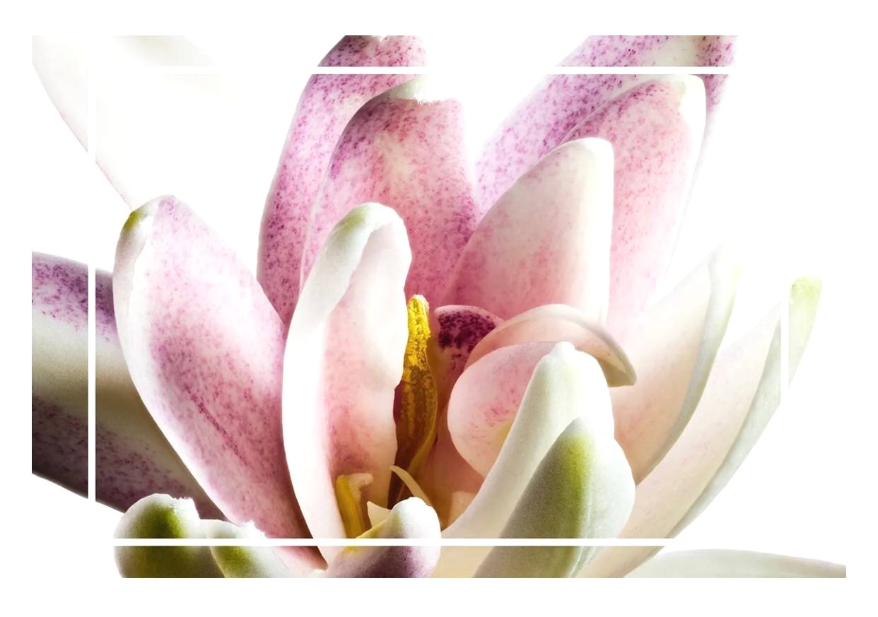 น้ำหอม Diptyque Do Son EDP 75ml