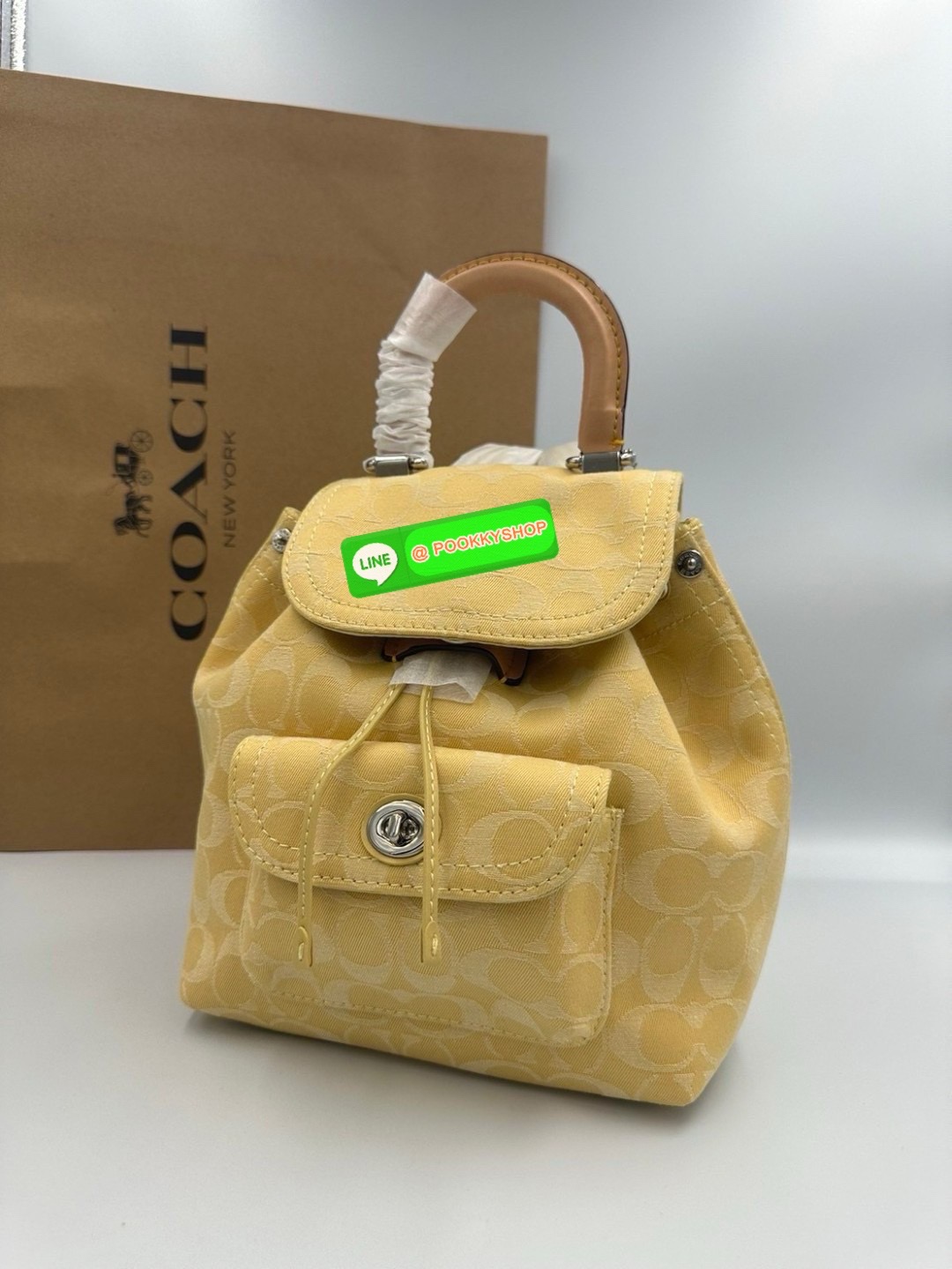 Coach CH789 Riya Backpack 21 Women Backpacks Shoulder Bag