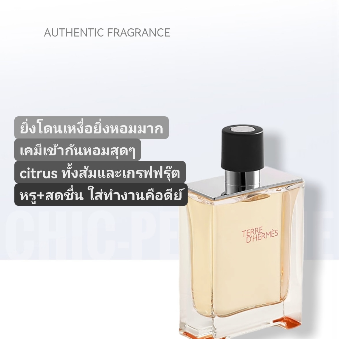 น้ำหอม Terre D Hermes for Men EDT 100 ml.