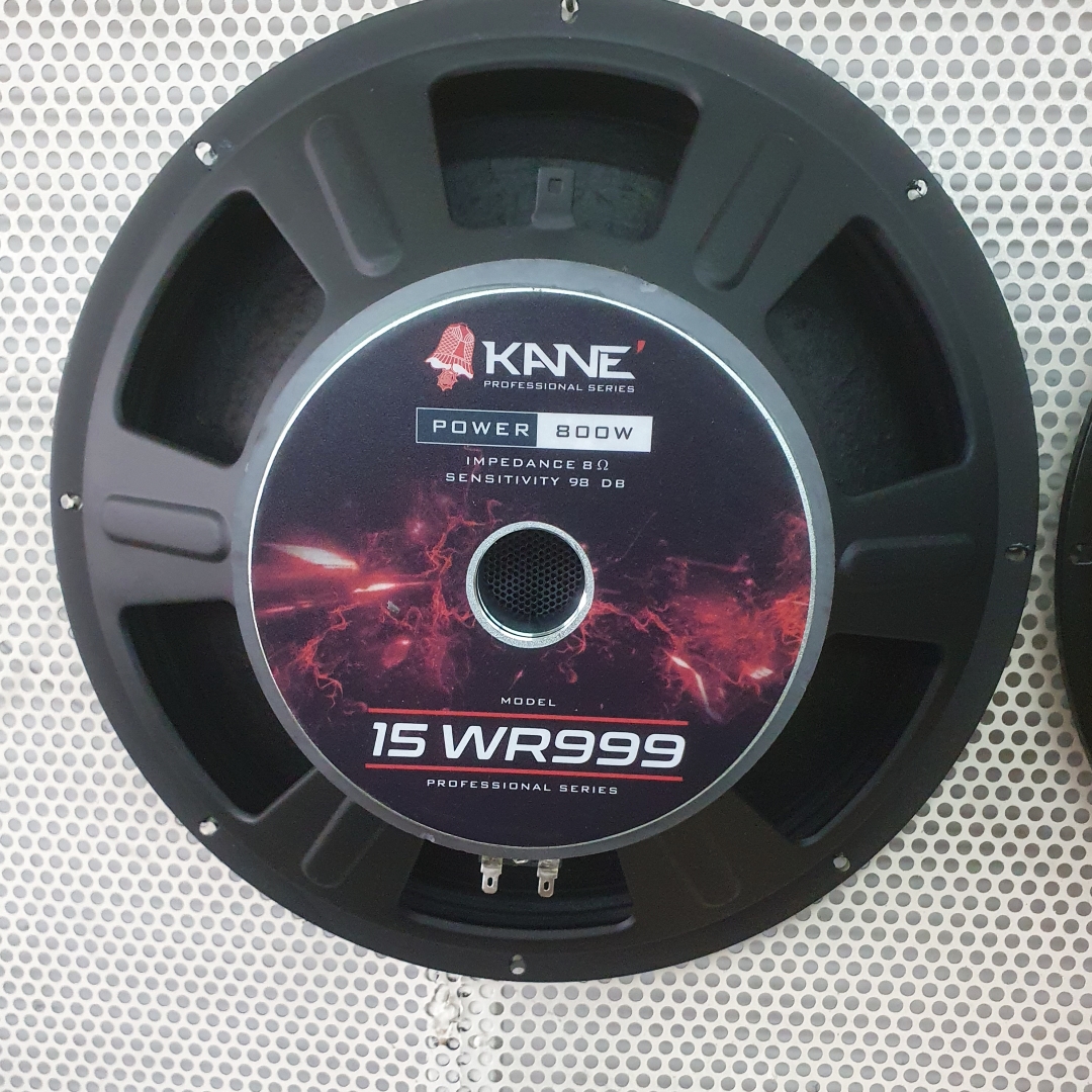 ลำโพง 15 นิ้ว 800W ยี่ห้อ KANE คาเนะ รุ่น WR999