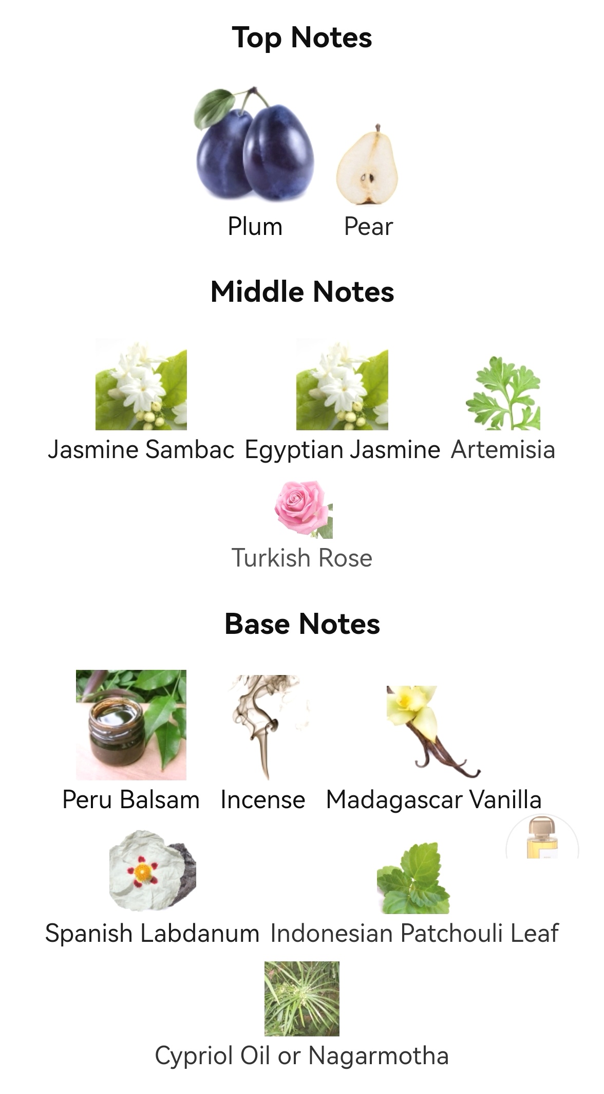 น้ำหอม BDK Wood Jasmin EDP 100ml