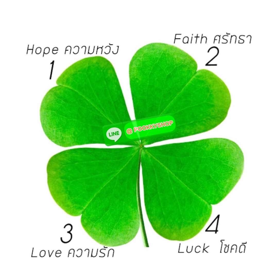 KEEP • Super Rich Collection 8 ( Long Wallet )• กระเป๋า สตางค์ขนาดยาว ซิปรอบ ภายใน จุของคุ้ม ใส่บัตร ใส่มือถือ มีช่องใส่เหรียญแยกอีกด้าน ใส่แบงค์พันได้ไม่ต้องพับ ใบจริงสวยมาก ได้ไปรับทรัพย์ทวีคูณแน่นอนค่ะ Don’t miss !!