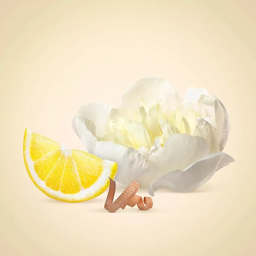 น้ำหอม CK Women EDT