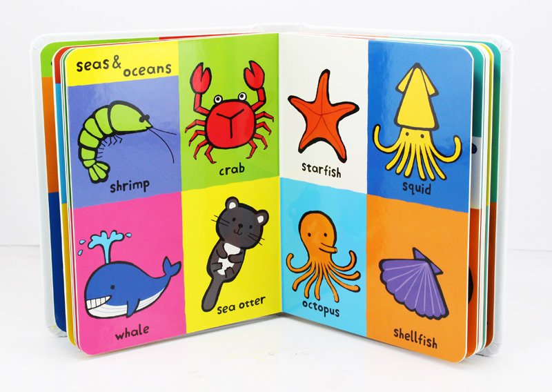 หนังสือบอร์ดบุ๊ค My First หนังสือภาพคำศัพท์ภาษาอังกฤษน่ารู้สำหรับเด็ก