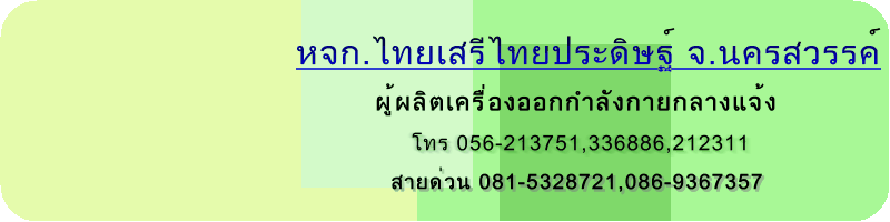 เครื่องออกกำลังกายกลางแจ้งและสนามเด็กเล่น-หจก.ไทยเสรี ไทยประดิษฐ์